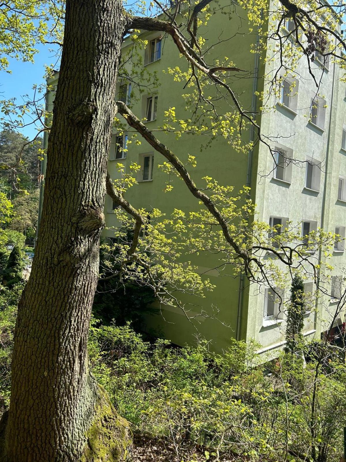 Apartament Przylesie Sopot Esterno foto